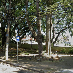 Imagem da publicação