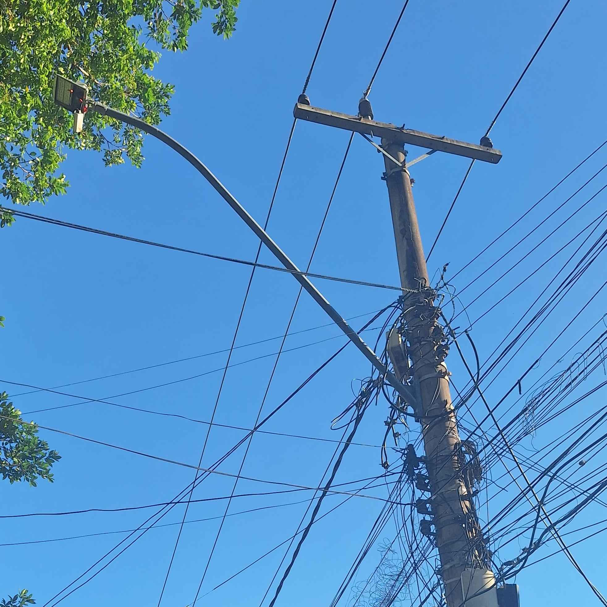 Imagem da publicação