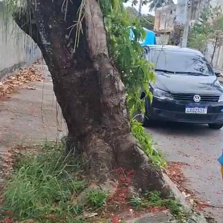 Imagem da publicação