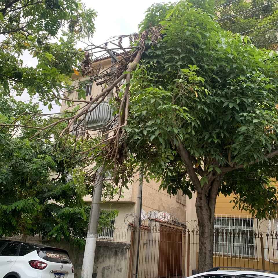 Imagem da publicação