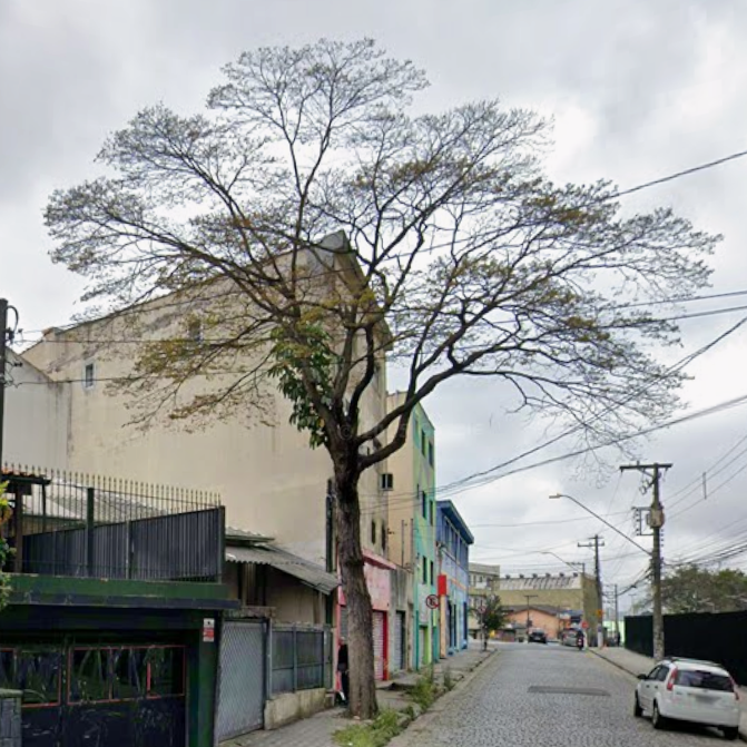 Imagem da publicação