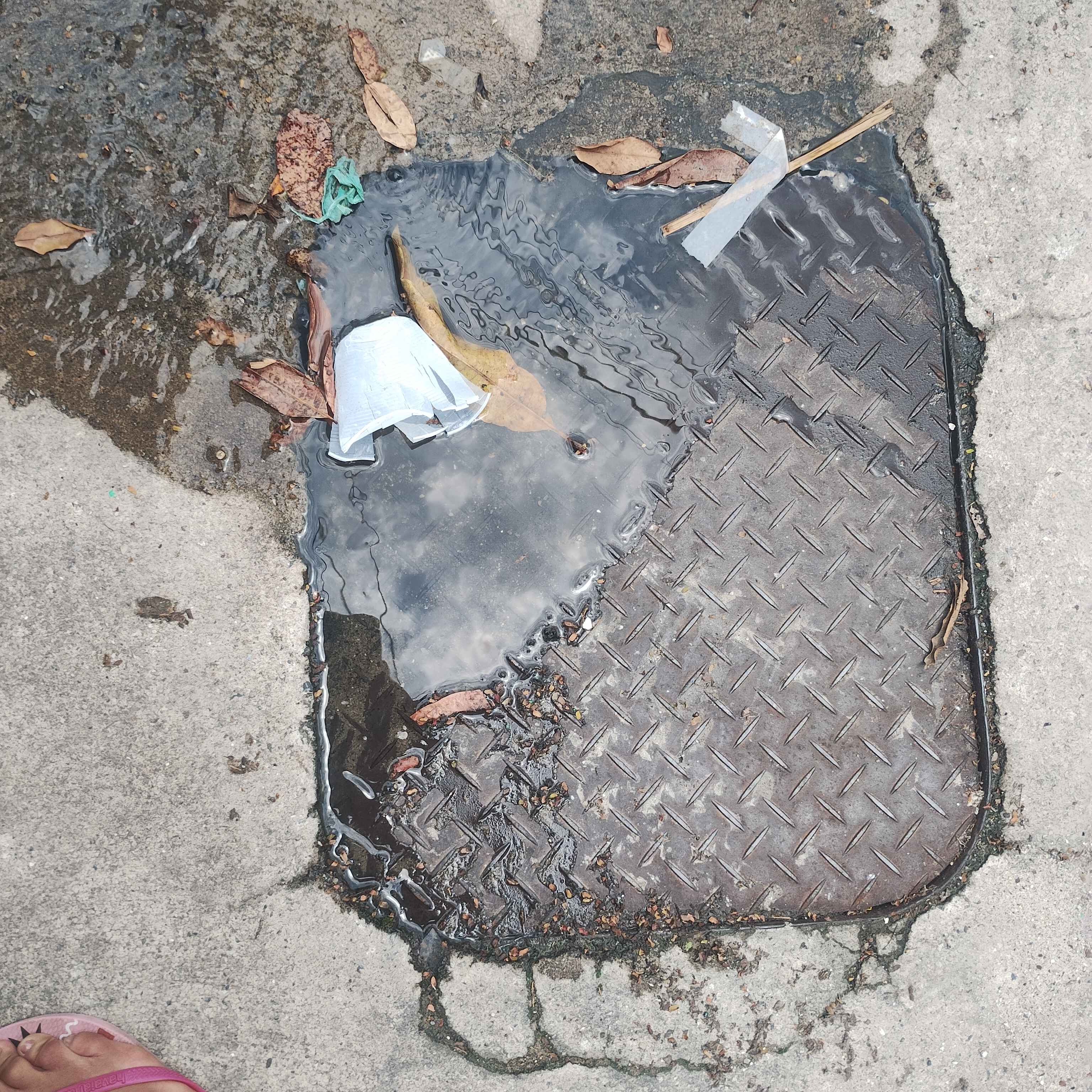 Imagem da publicação