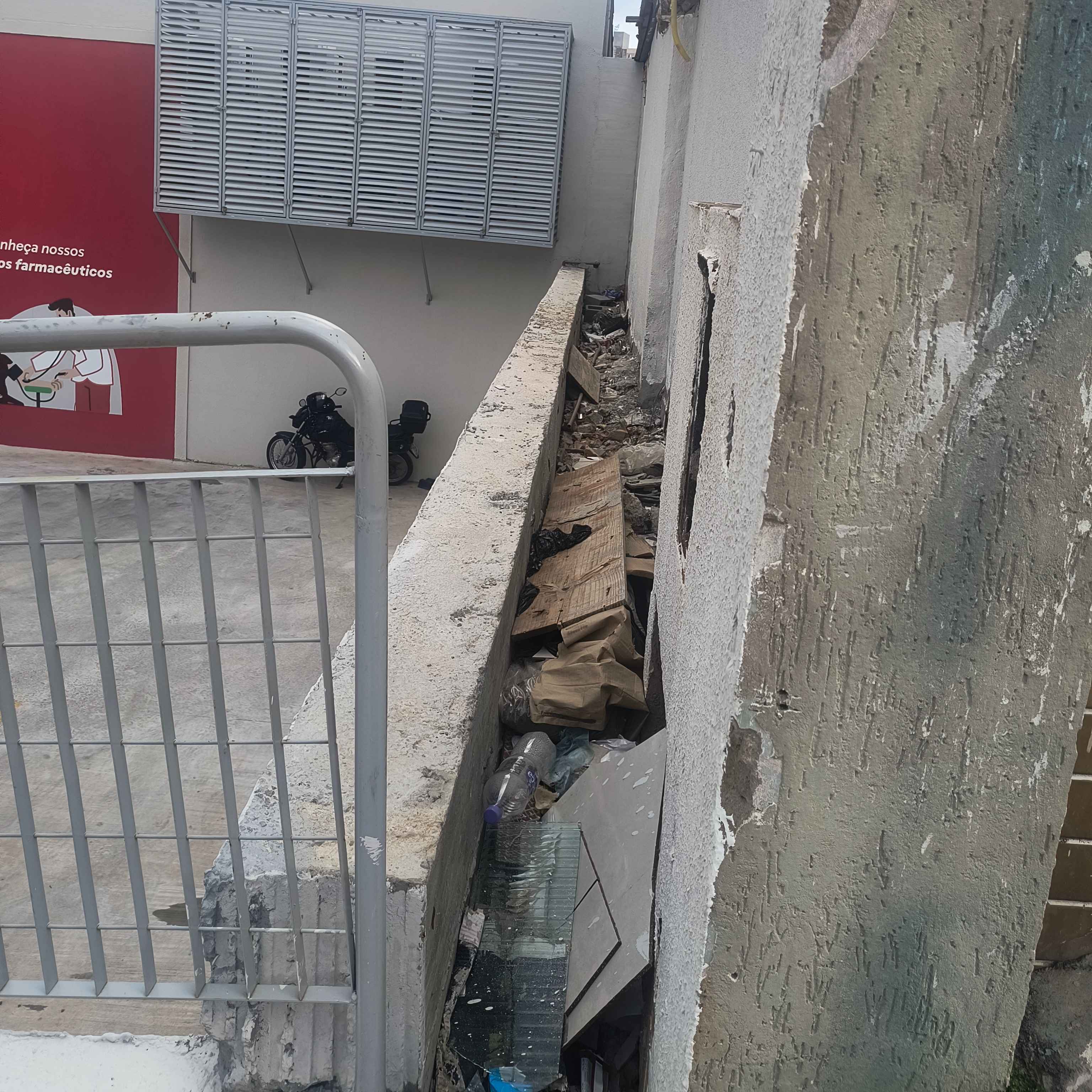 Imagem da publicação