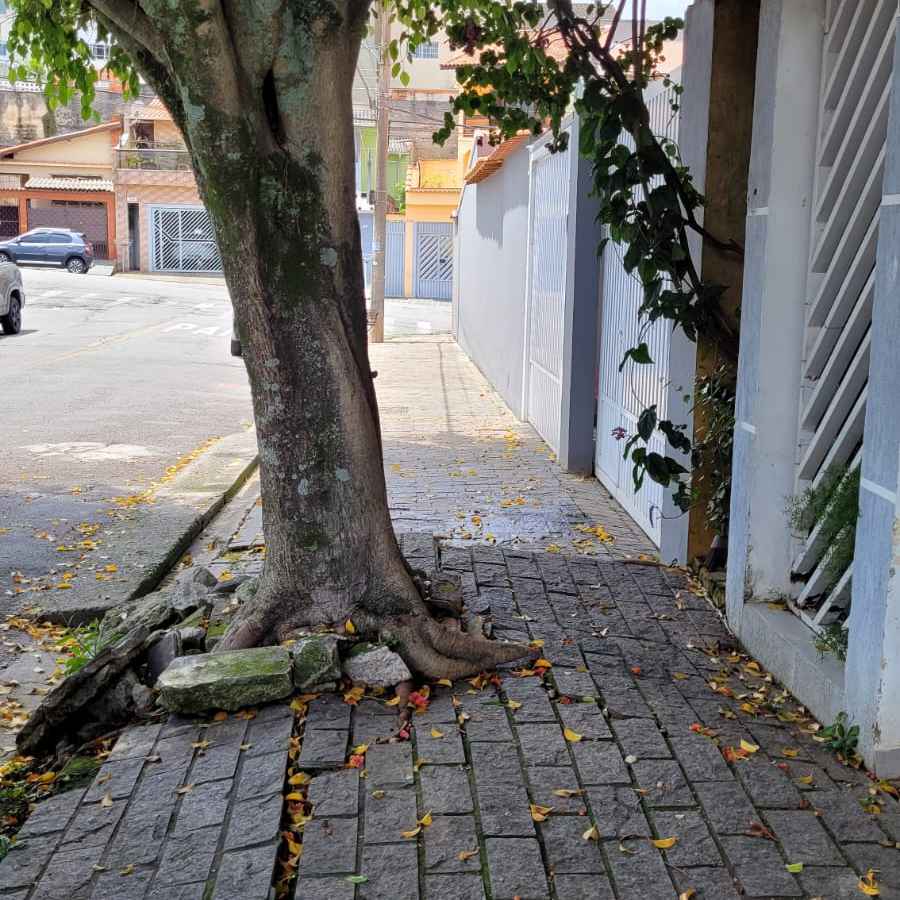 Imagem da publicação