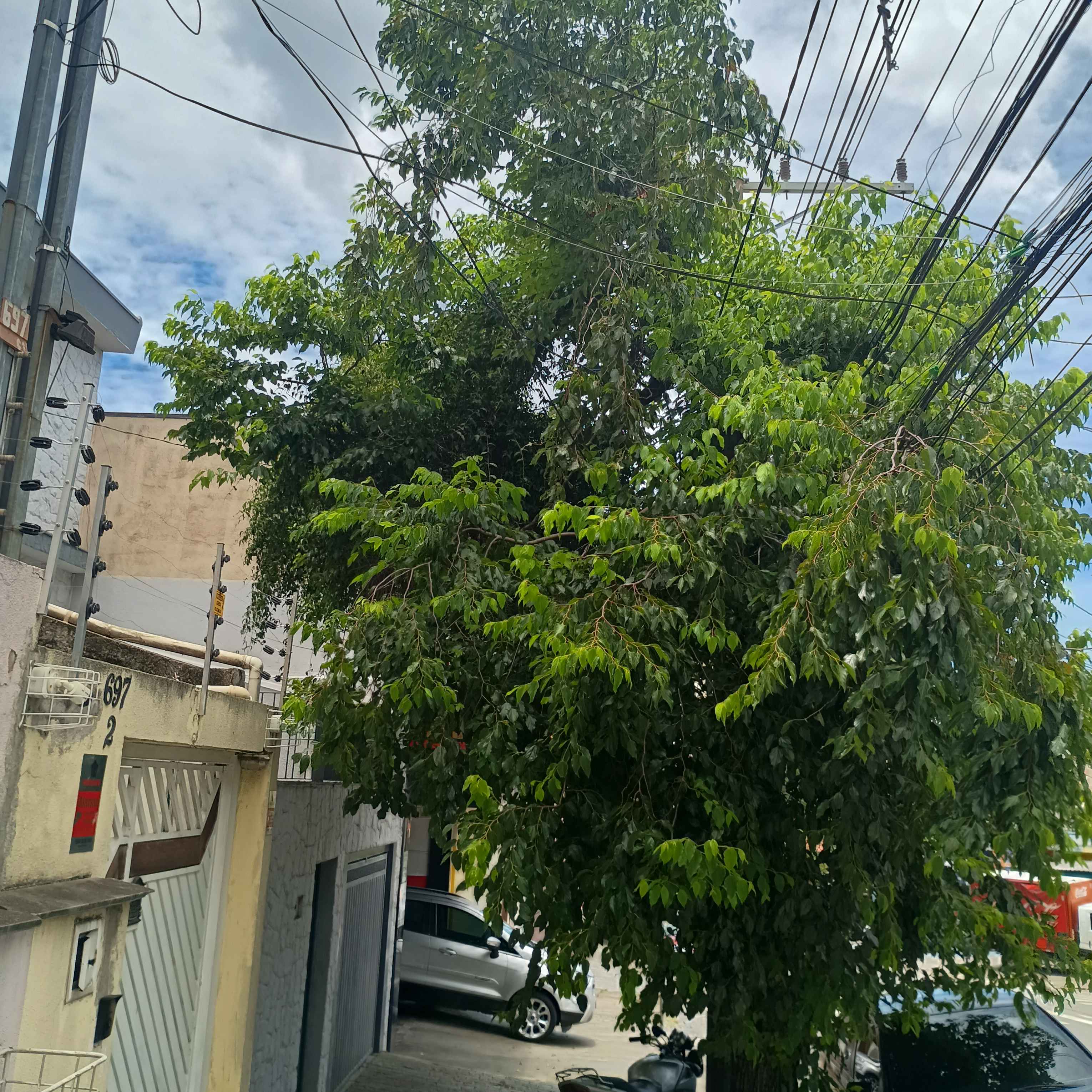 Imagem da publicação