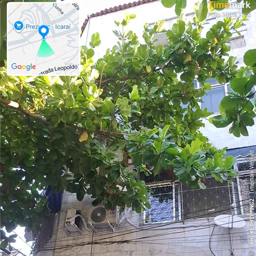 Imagem da publicação