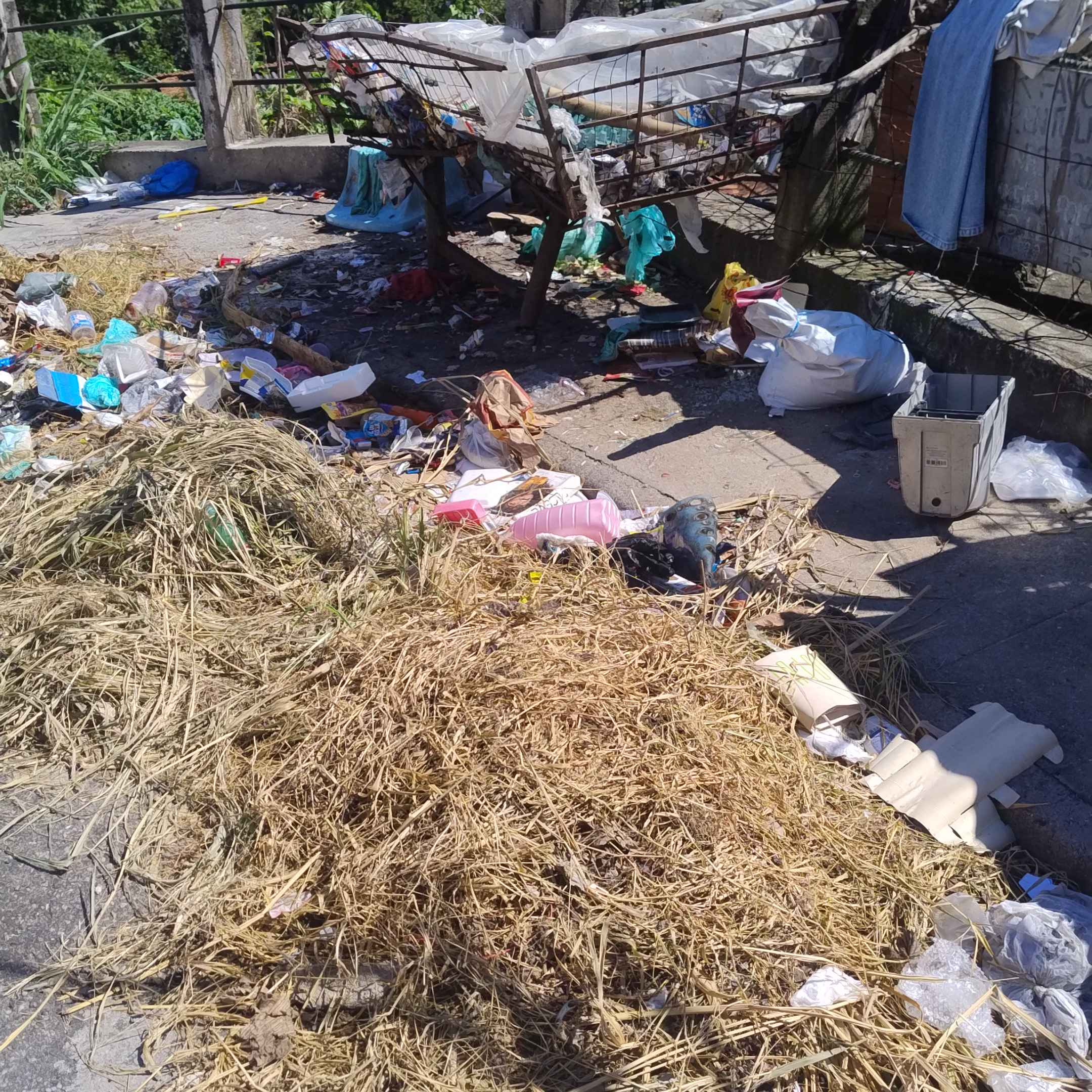 Imagem da publicação