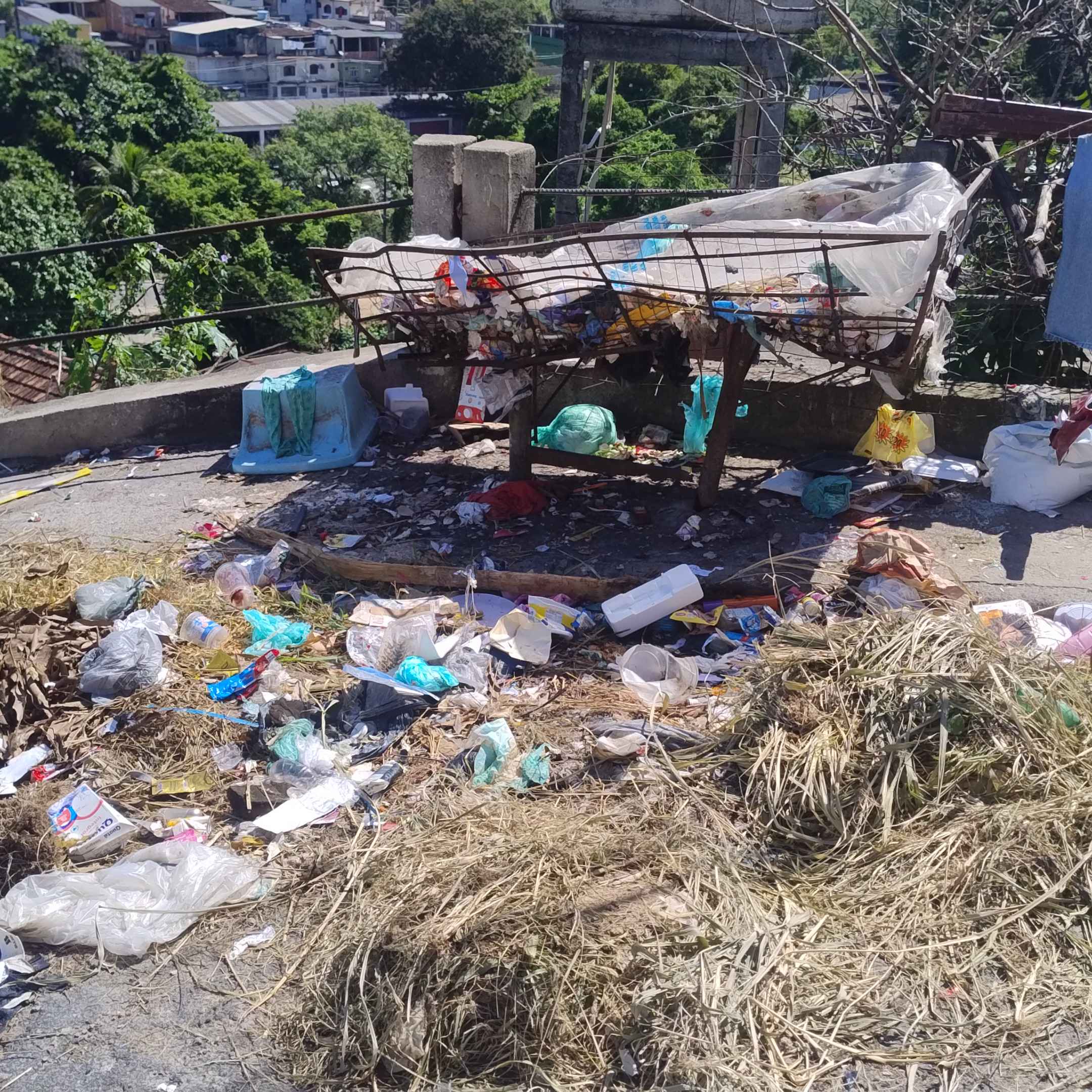 Imagem da publicação