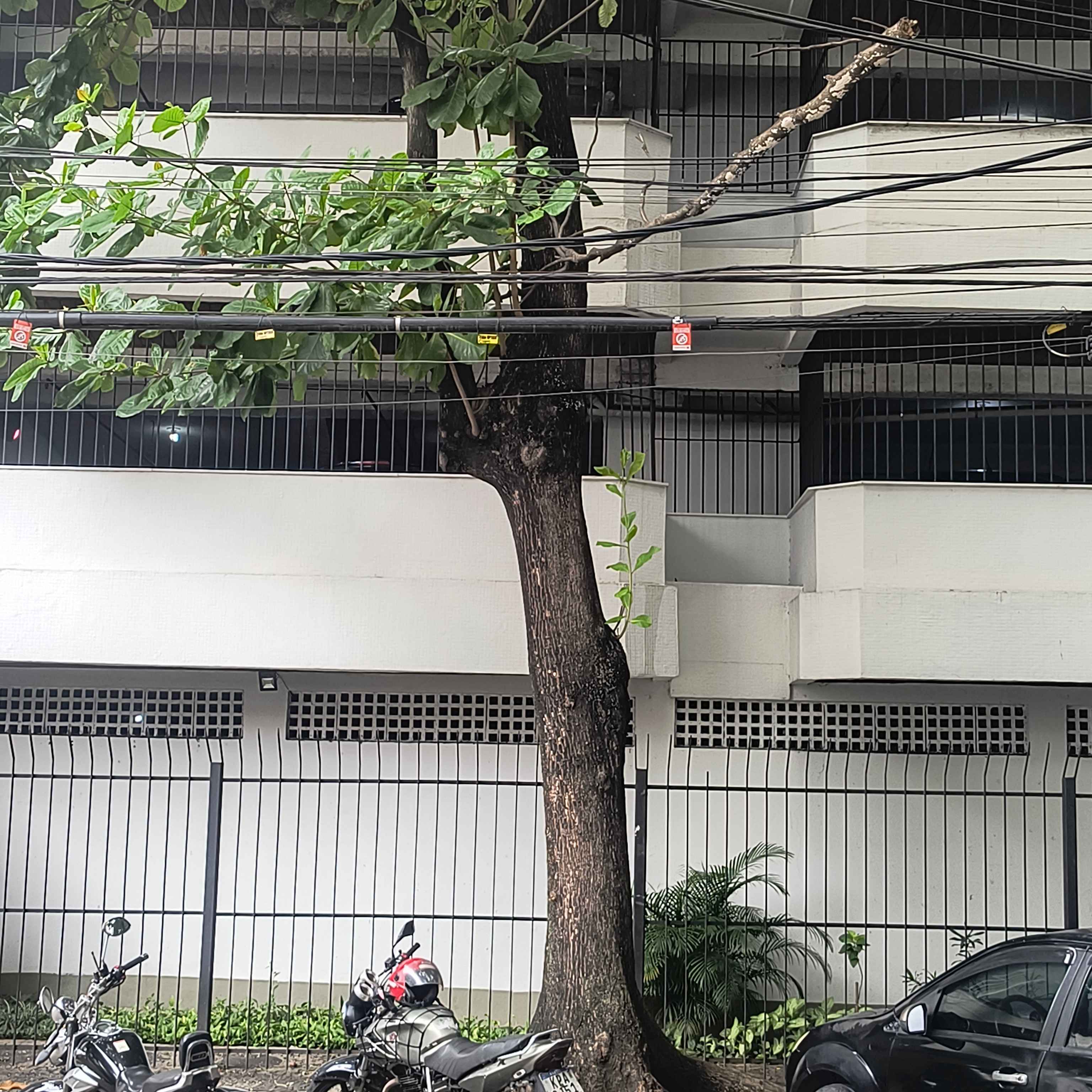 Imagem da publicação