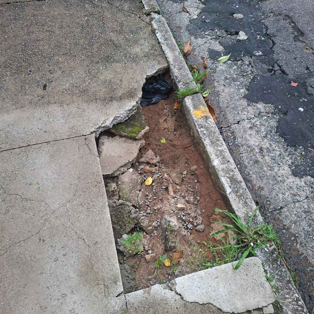 Imagem da publicação