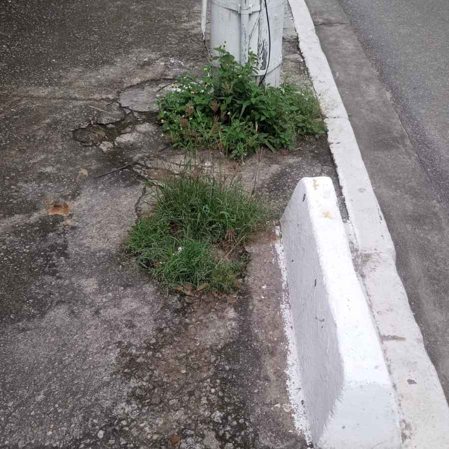 Imagem da publicação