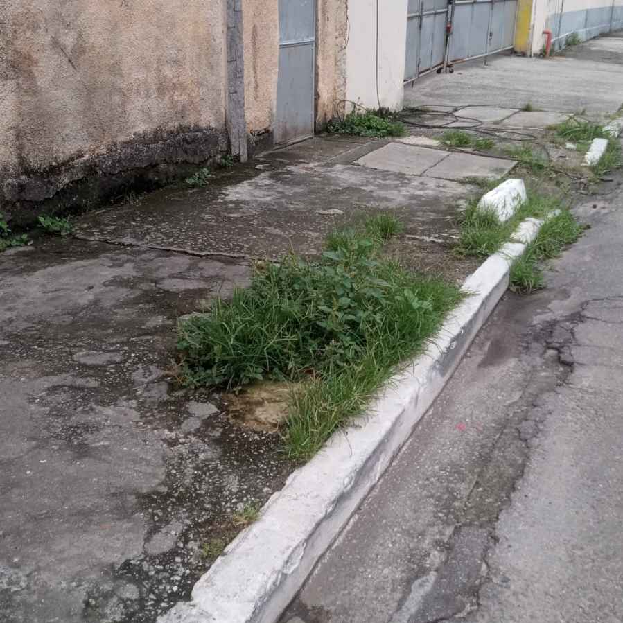 Imagem da publicação