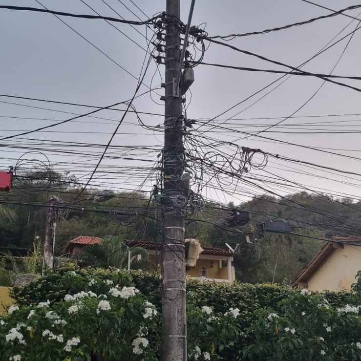 Imagem da publicação