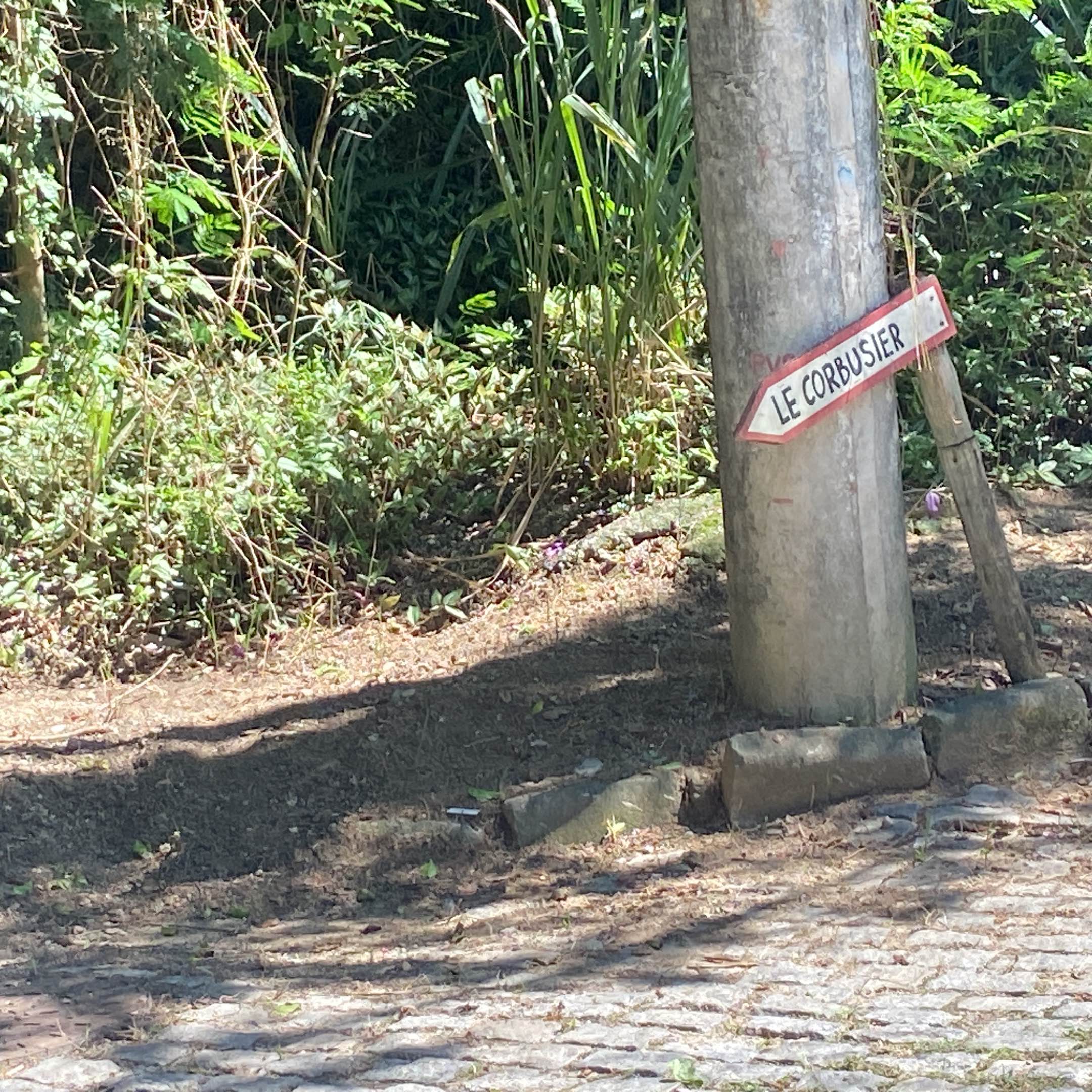 Imagem da publicação