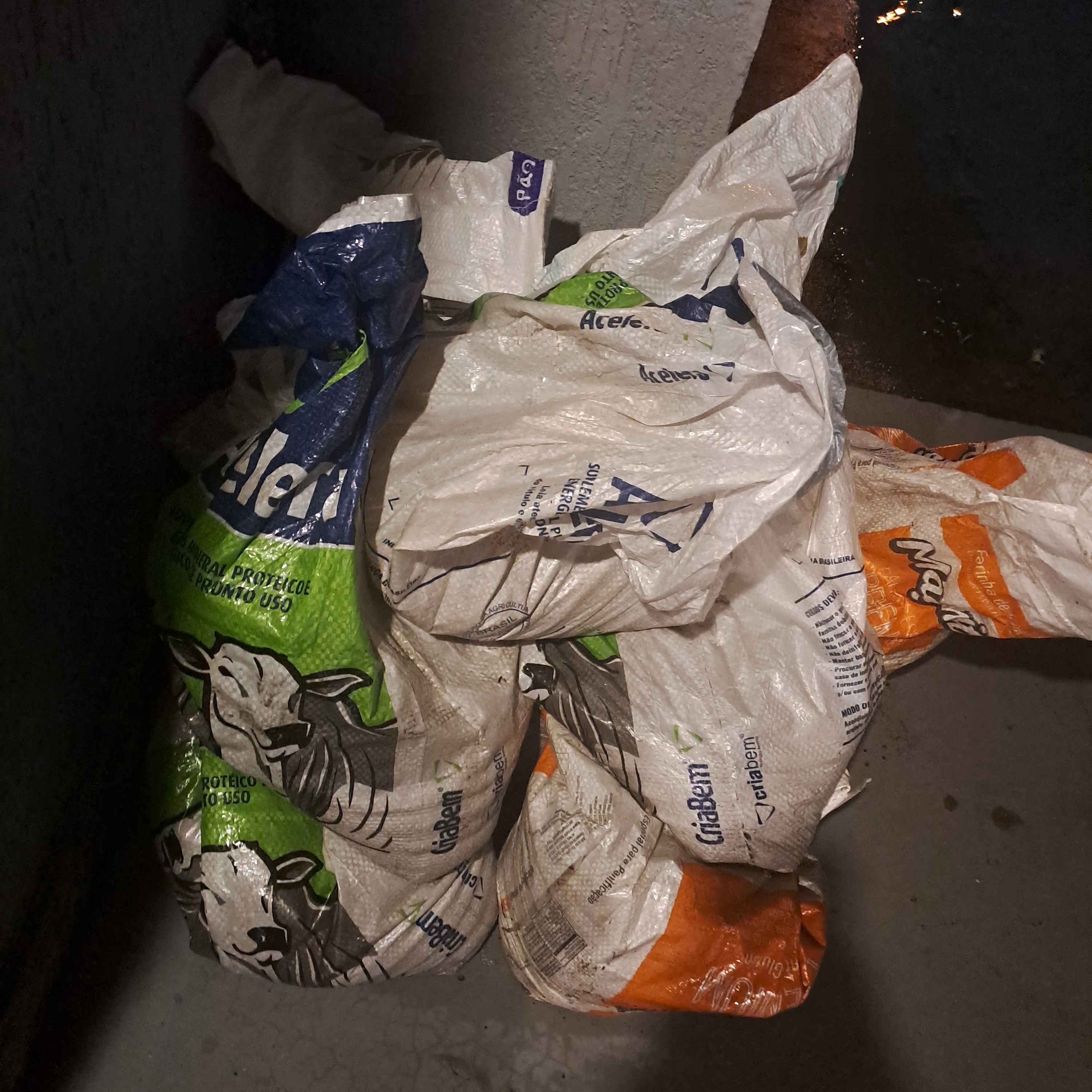 Imagem da publicação