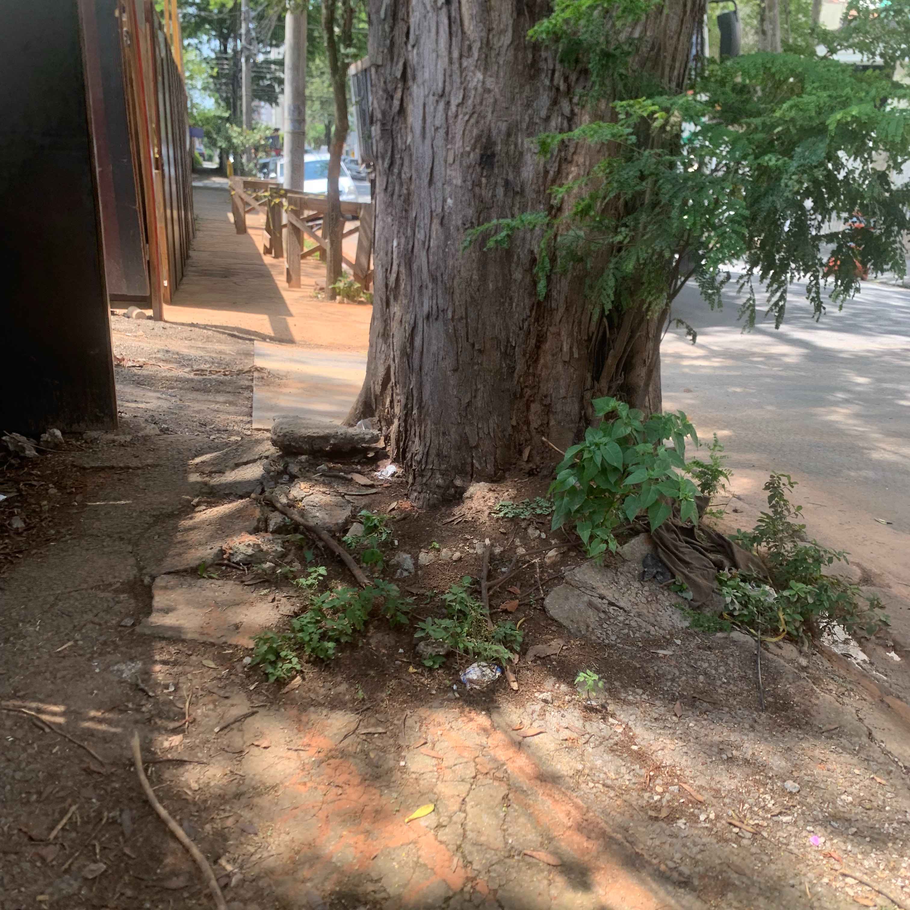 Imagem da publicação