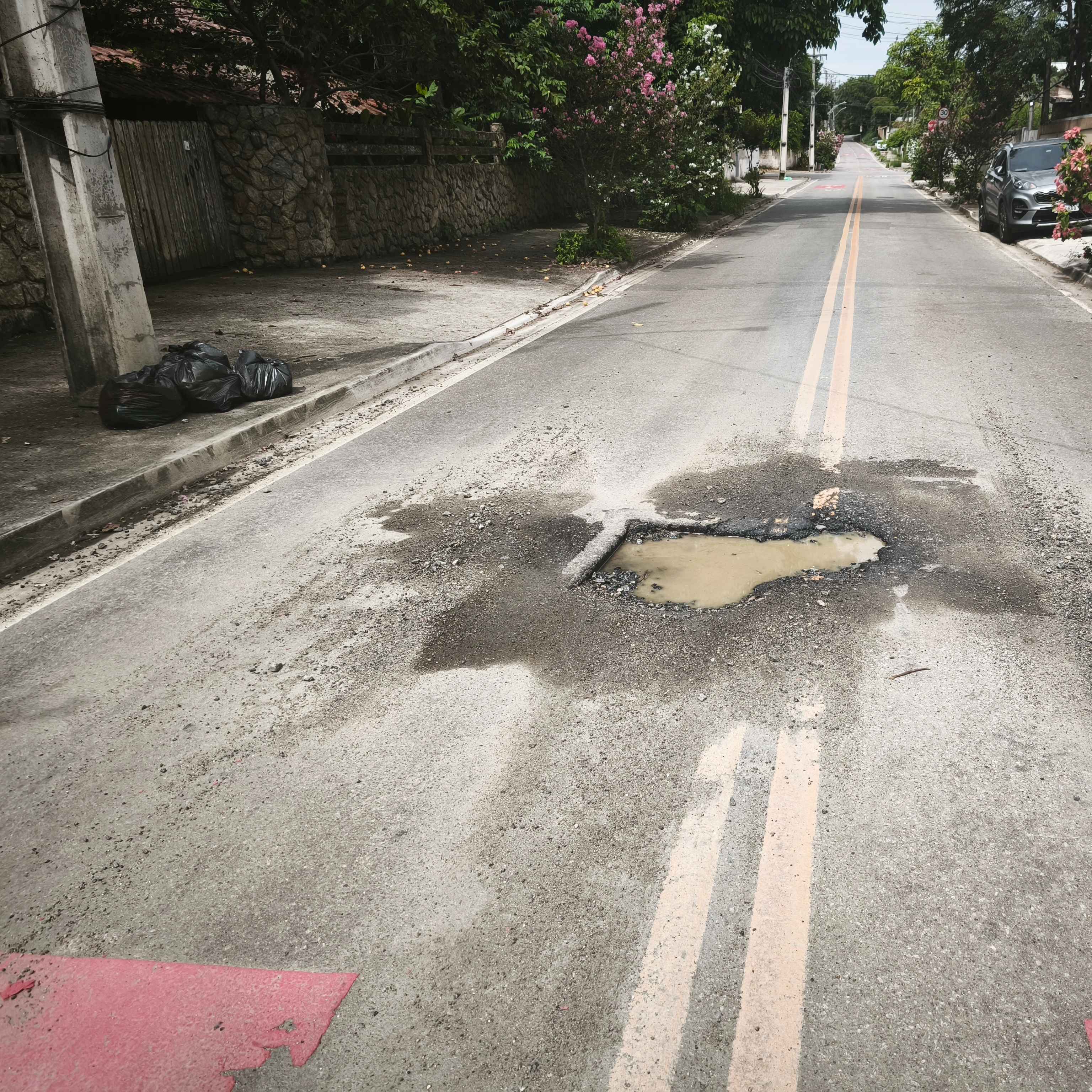 Imagem da publicação