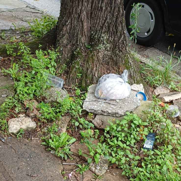 Imagem da publicação