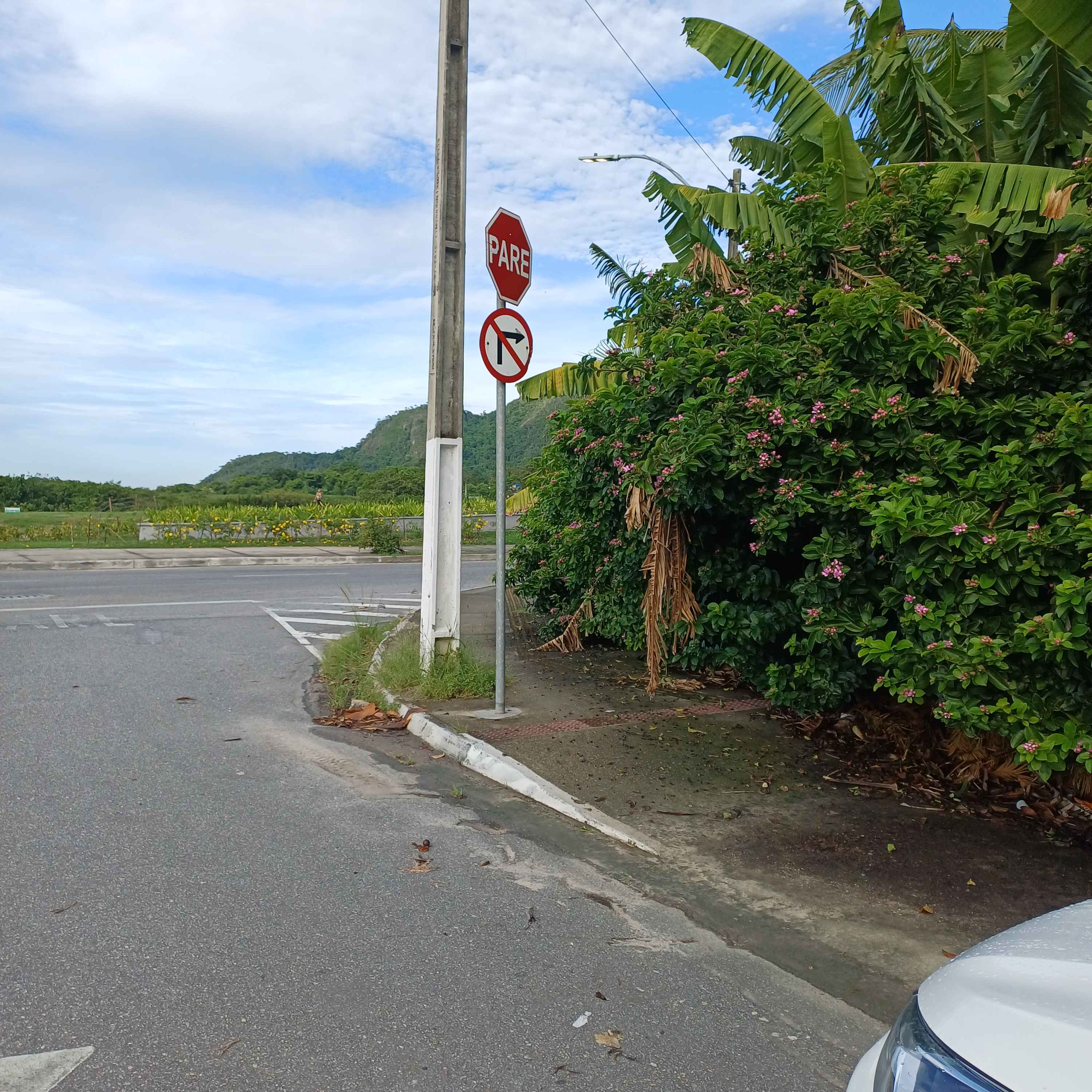 Imagem da publicação