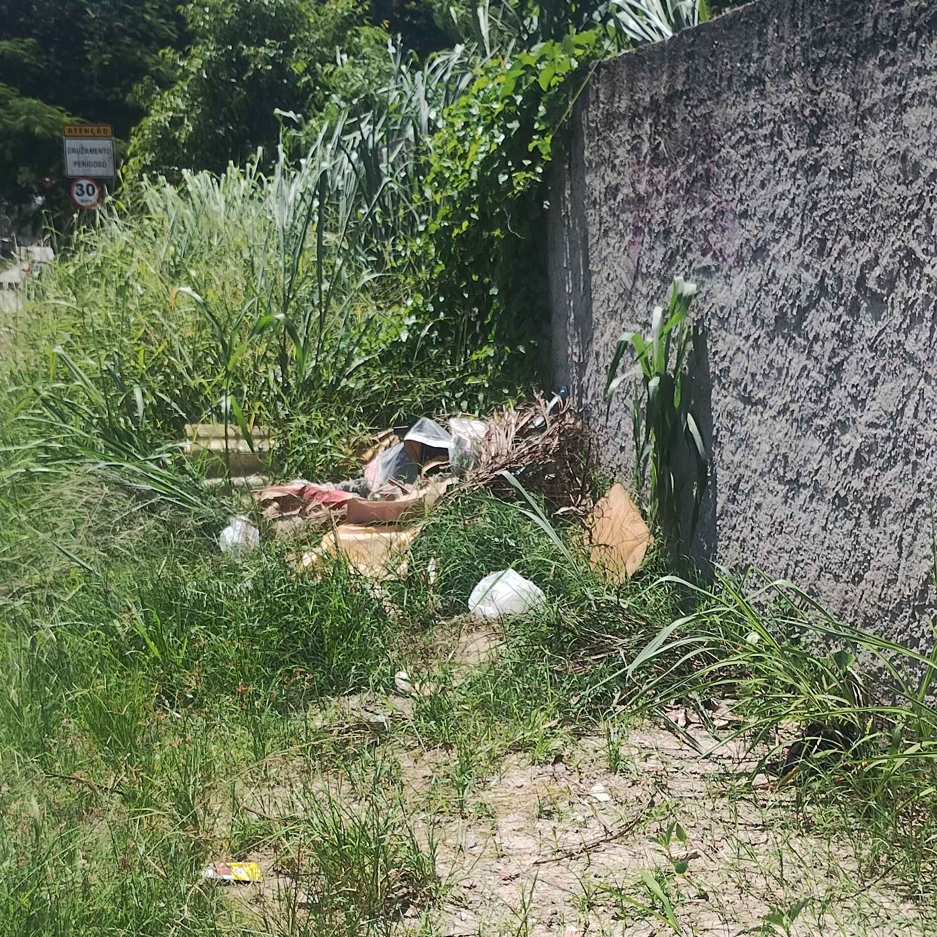 Imagem da publicação