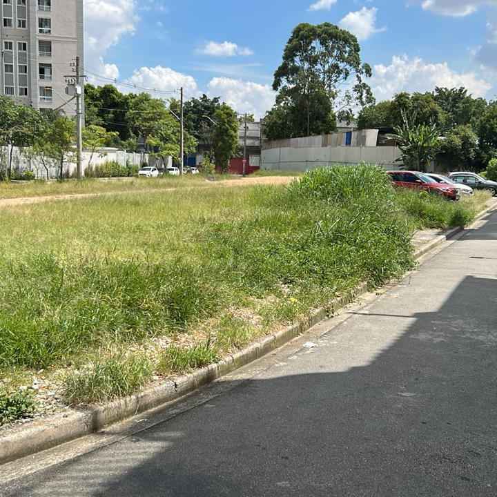 Imagem da publicação