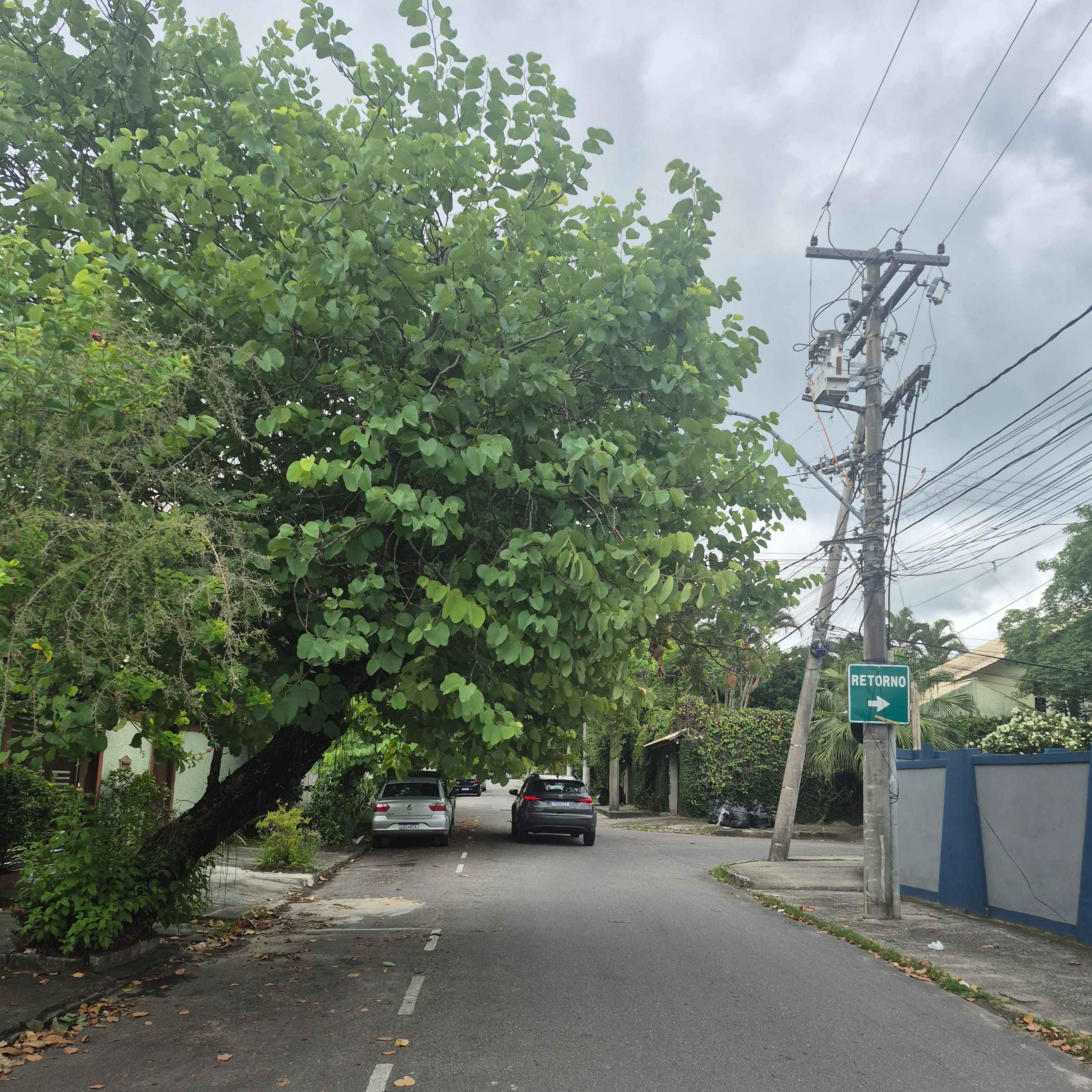 Imagem da publicação