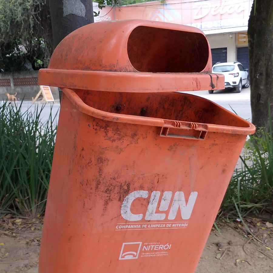 Imagem da publicação