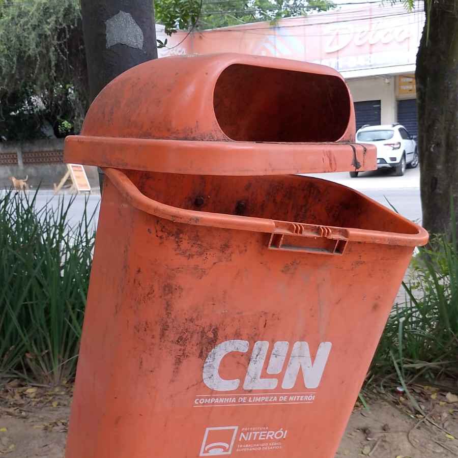 Imagem da publicação
