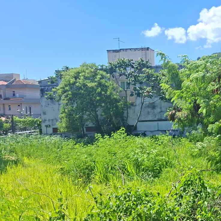 Imagem da publicação