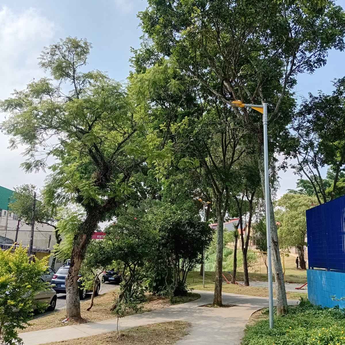 Imagem da publicação