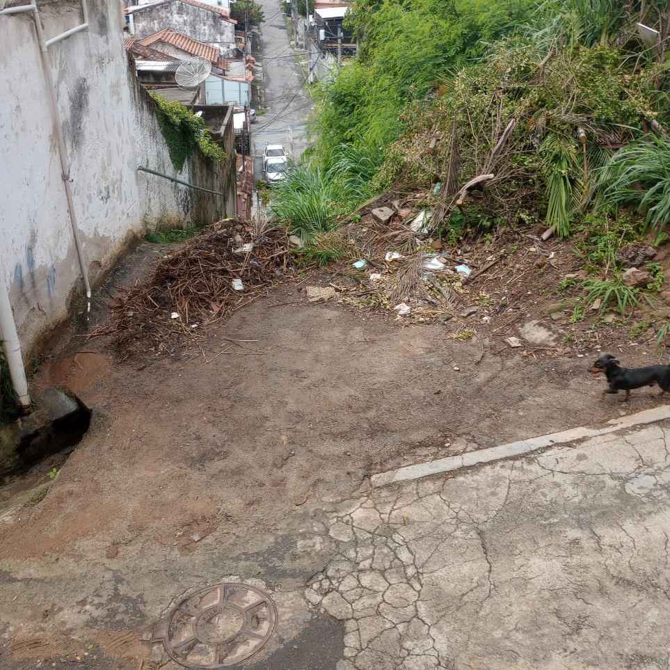 Imagem da publicação