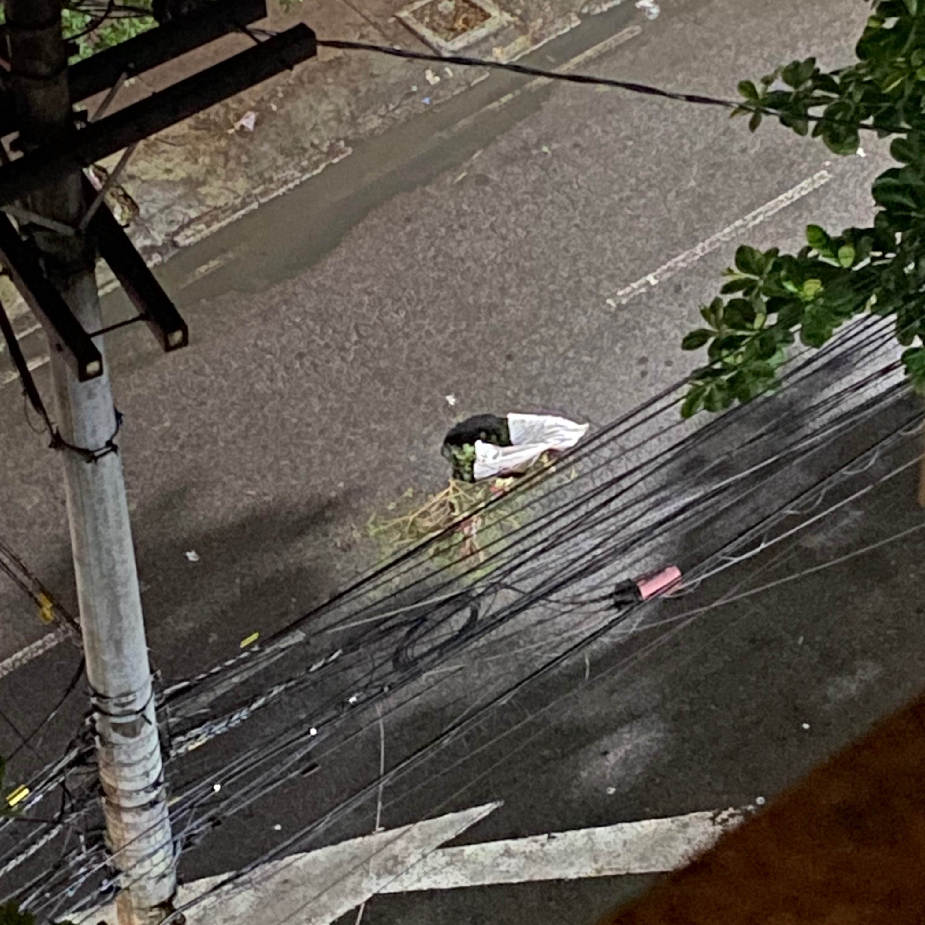 Imagem da publicação