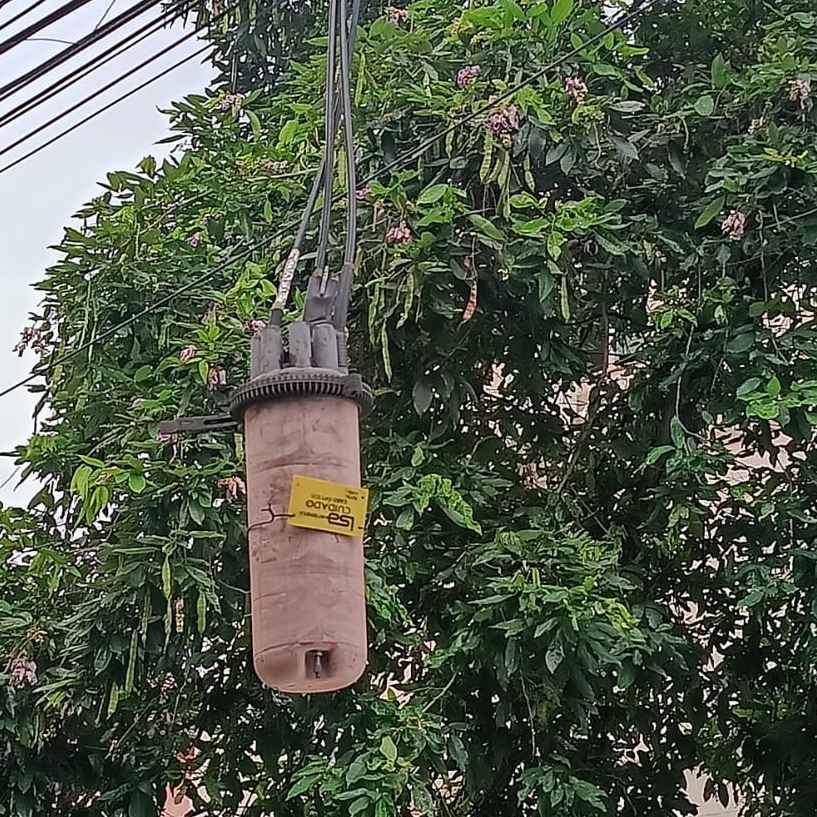 Imagem da publicação