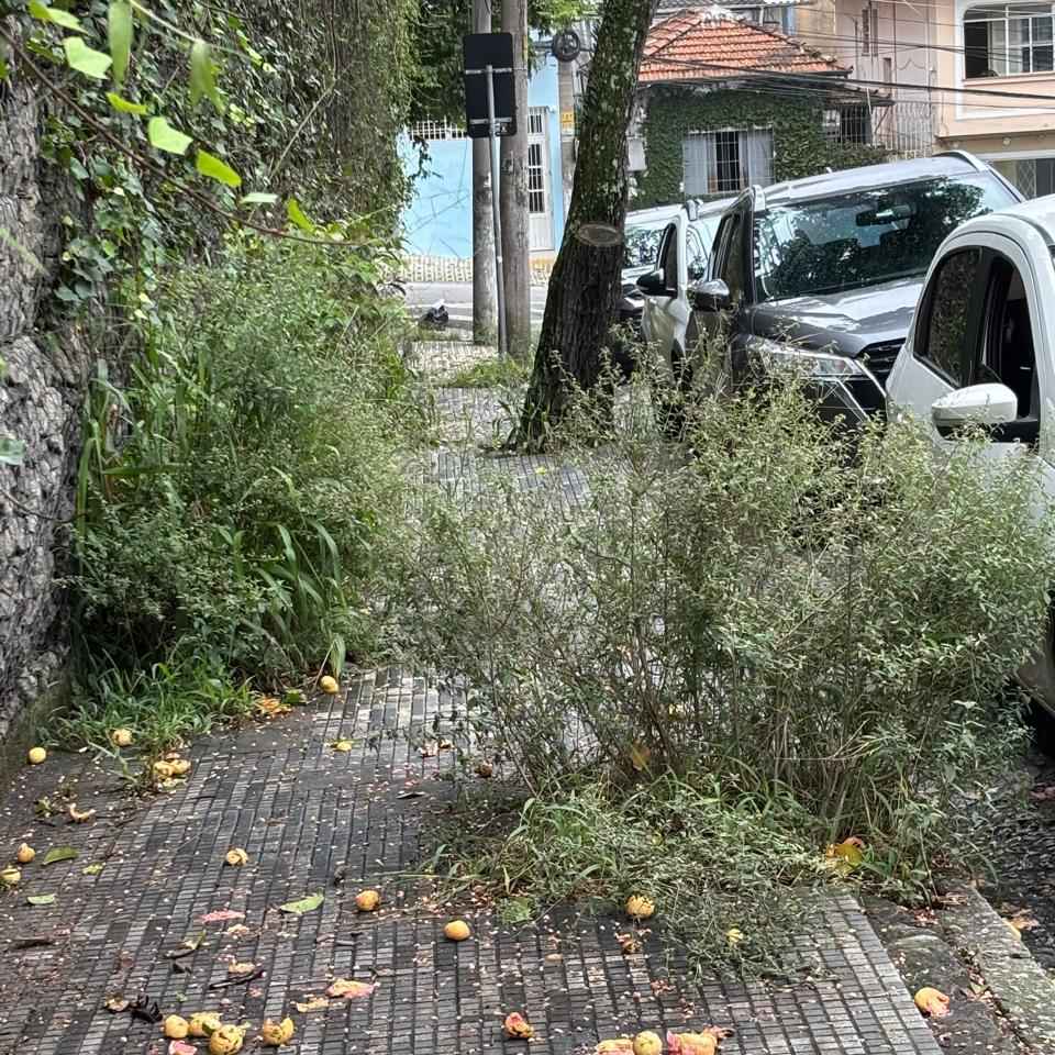 Imagem da publicação