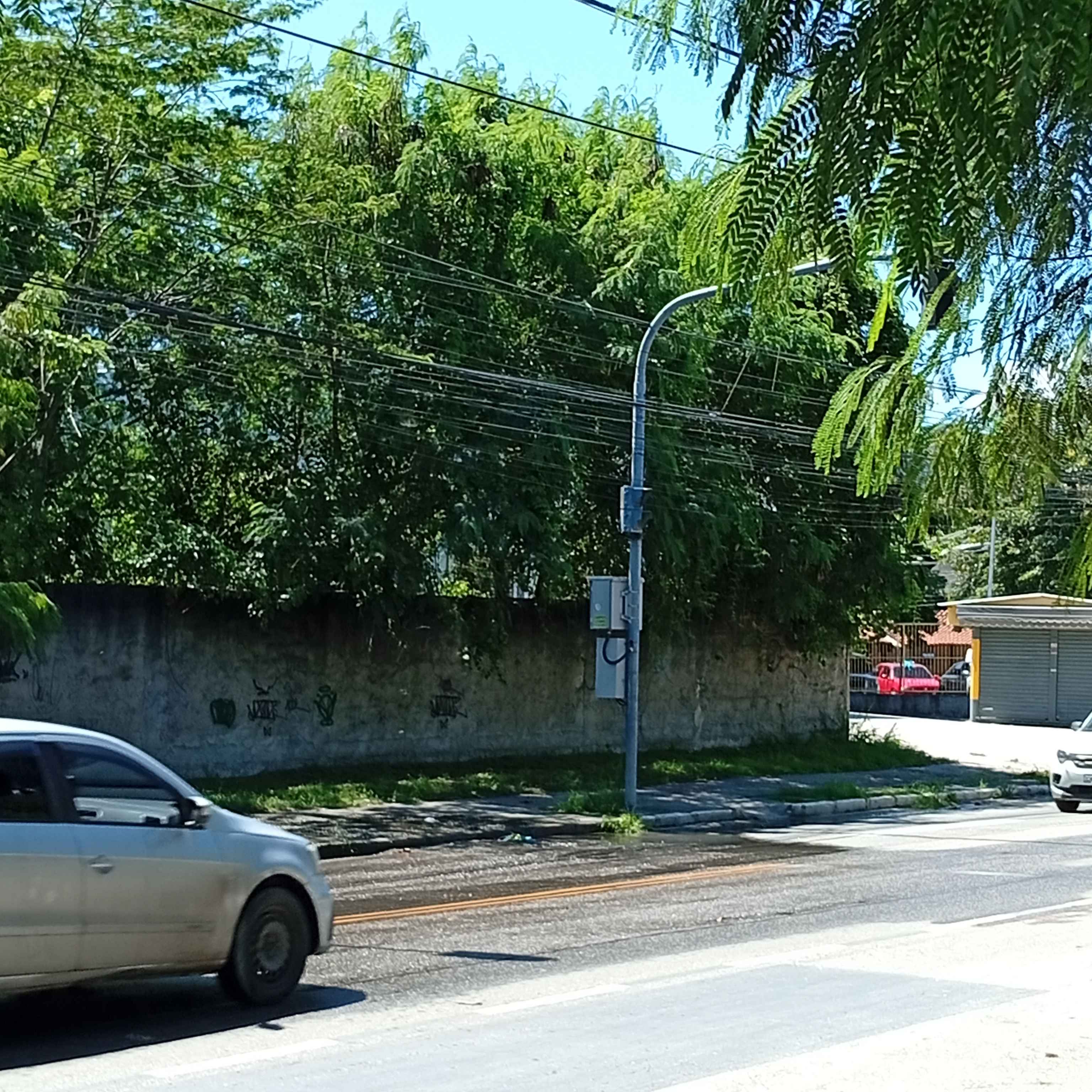 Imagem da publicação