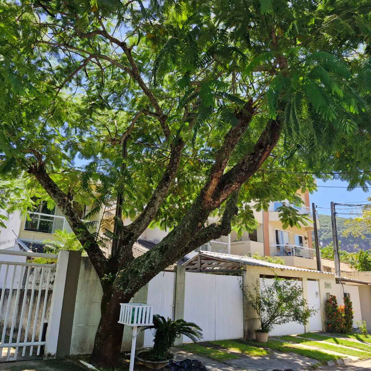 Imagem da publicação