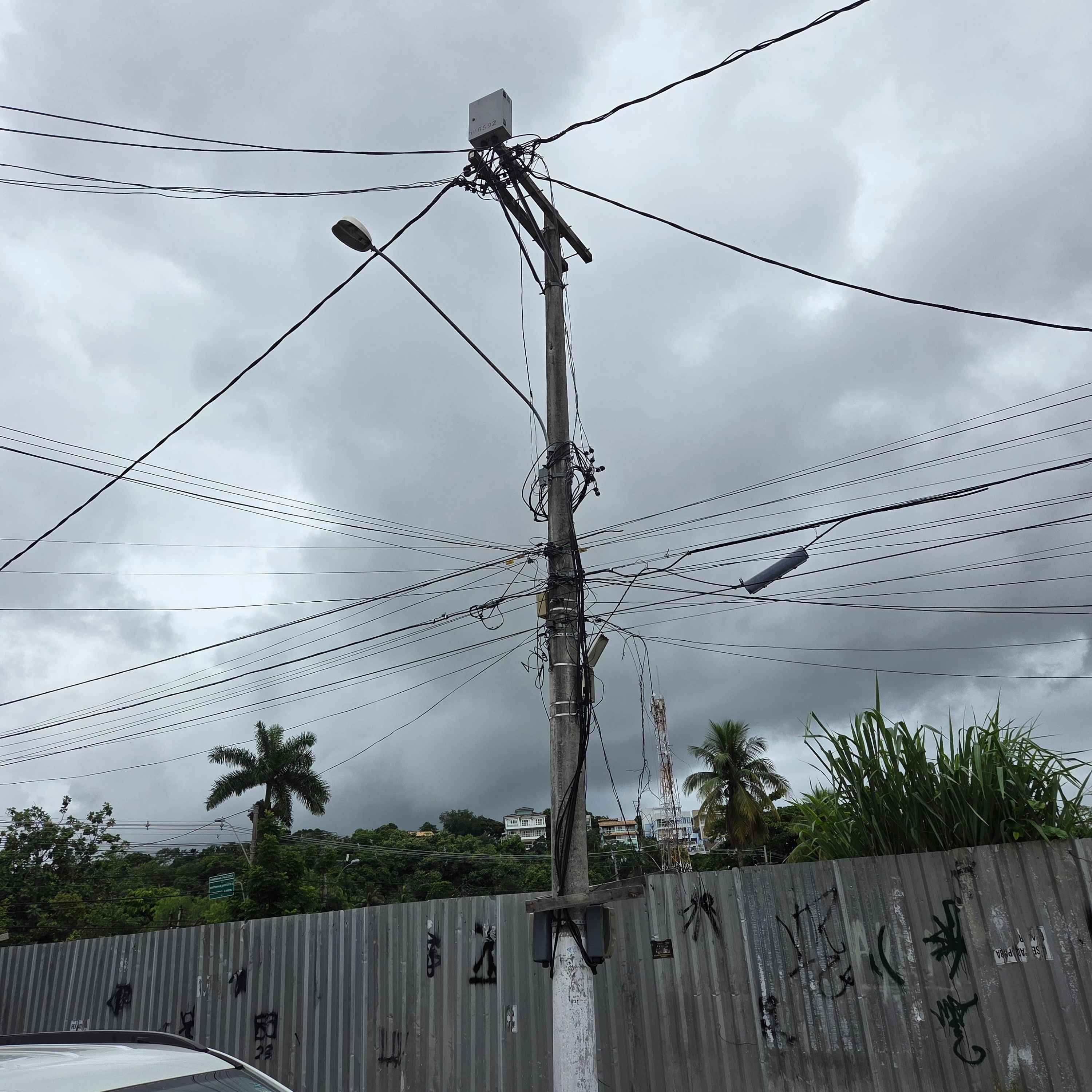 Imagem da publicação