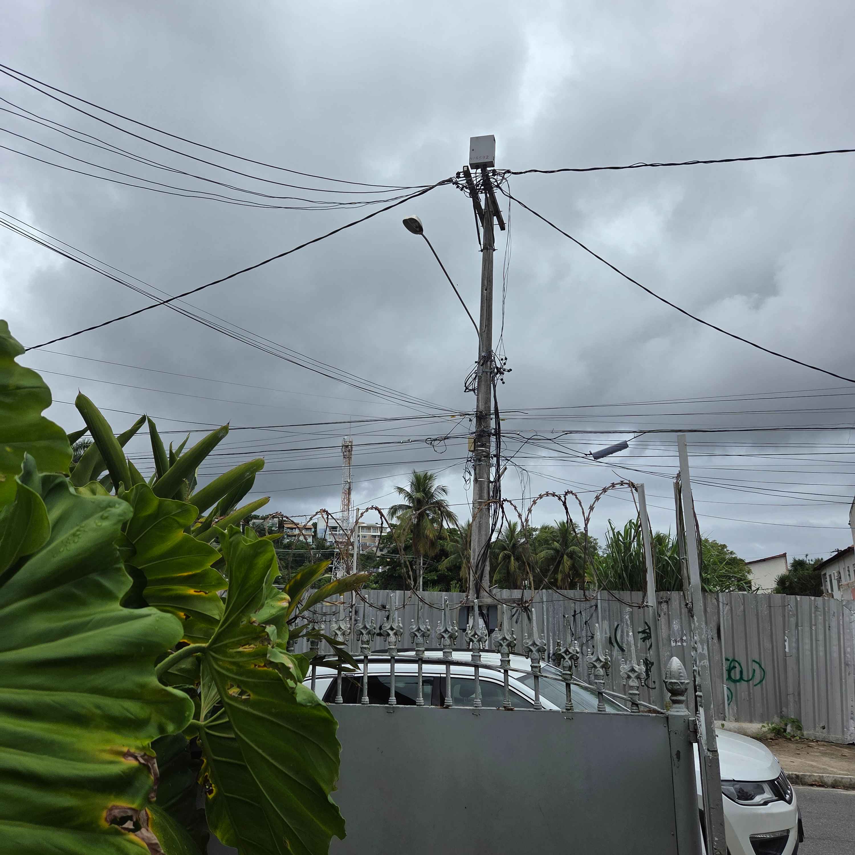 Imagem da publicação