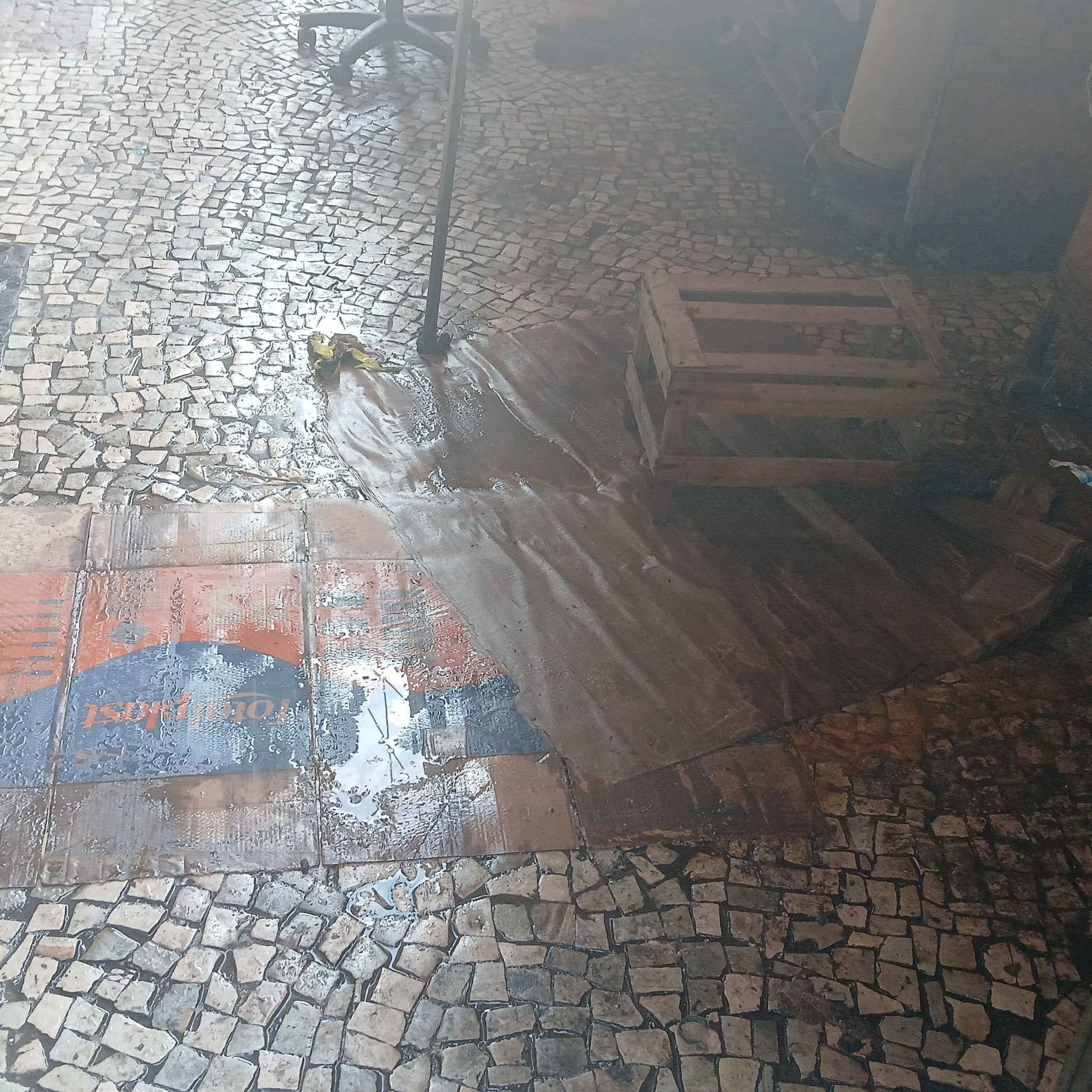 Imagem da publicação