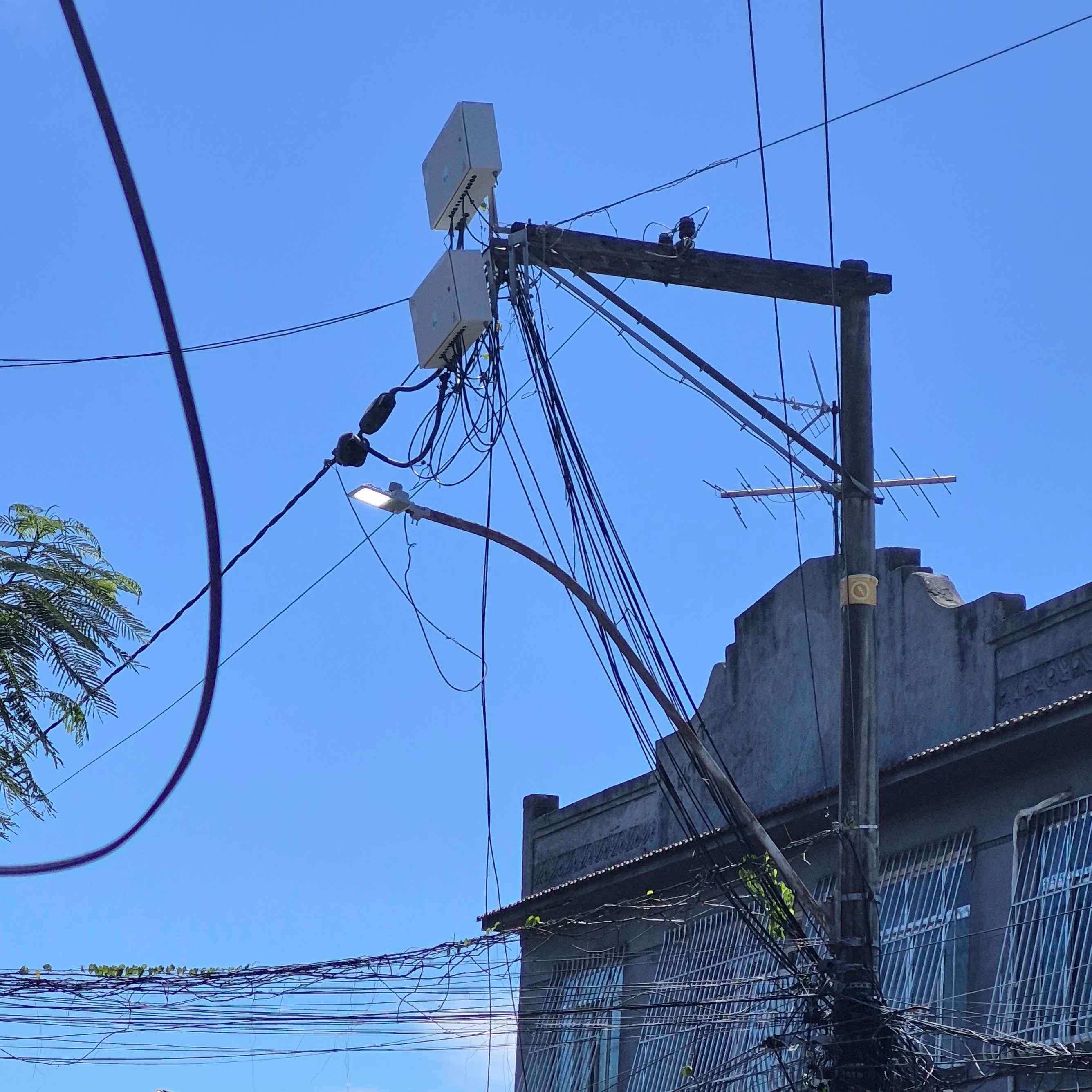 Imagem da publicação