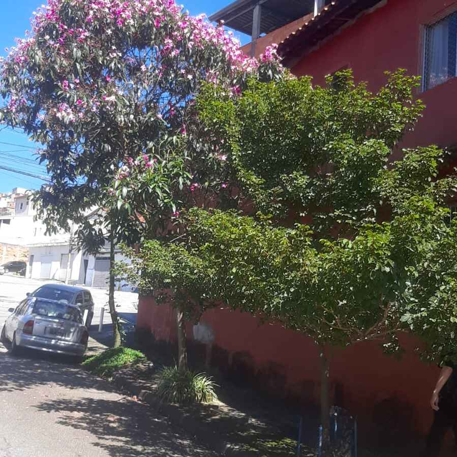 Imagem da publicação