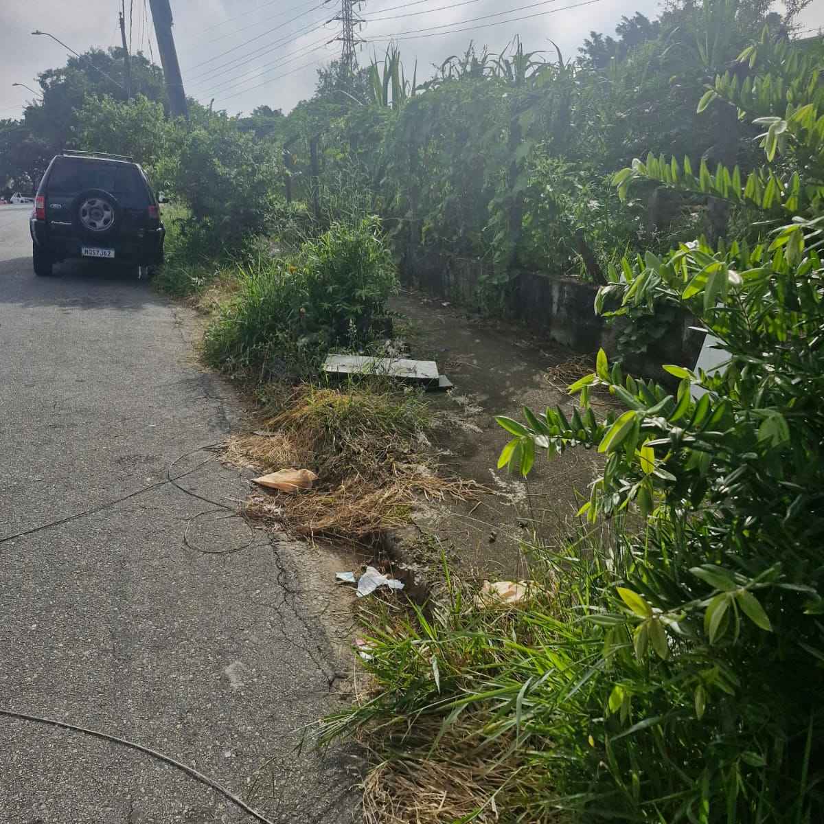 Imagem da publicação