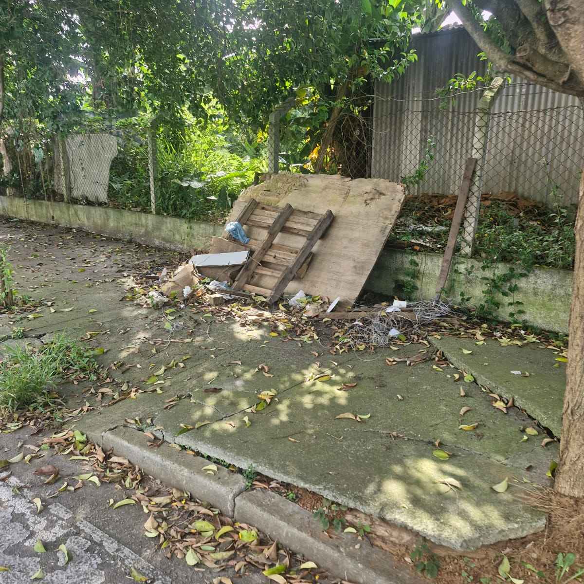 Imagem da publicação