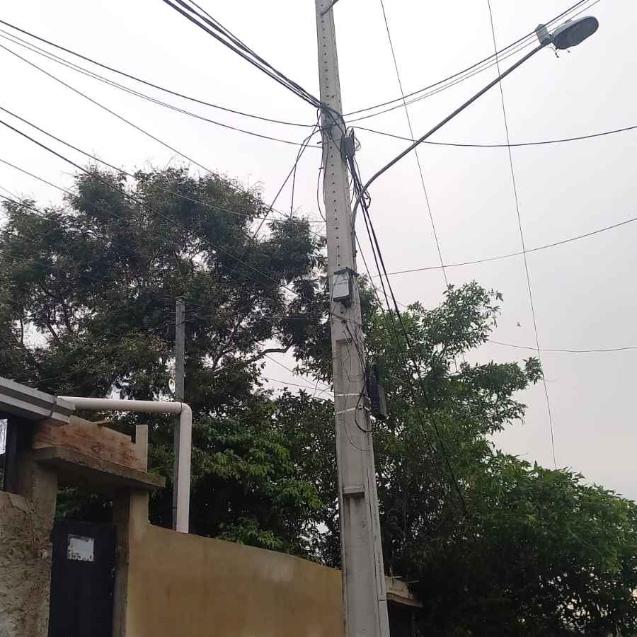 Imagem da publicação