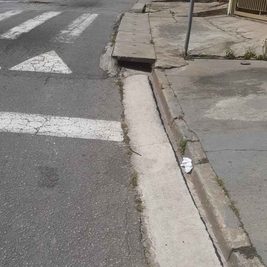 Imagem da publicação