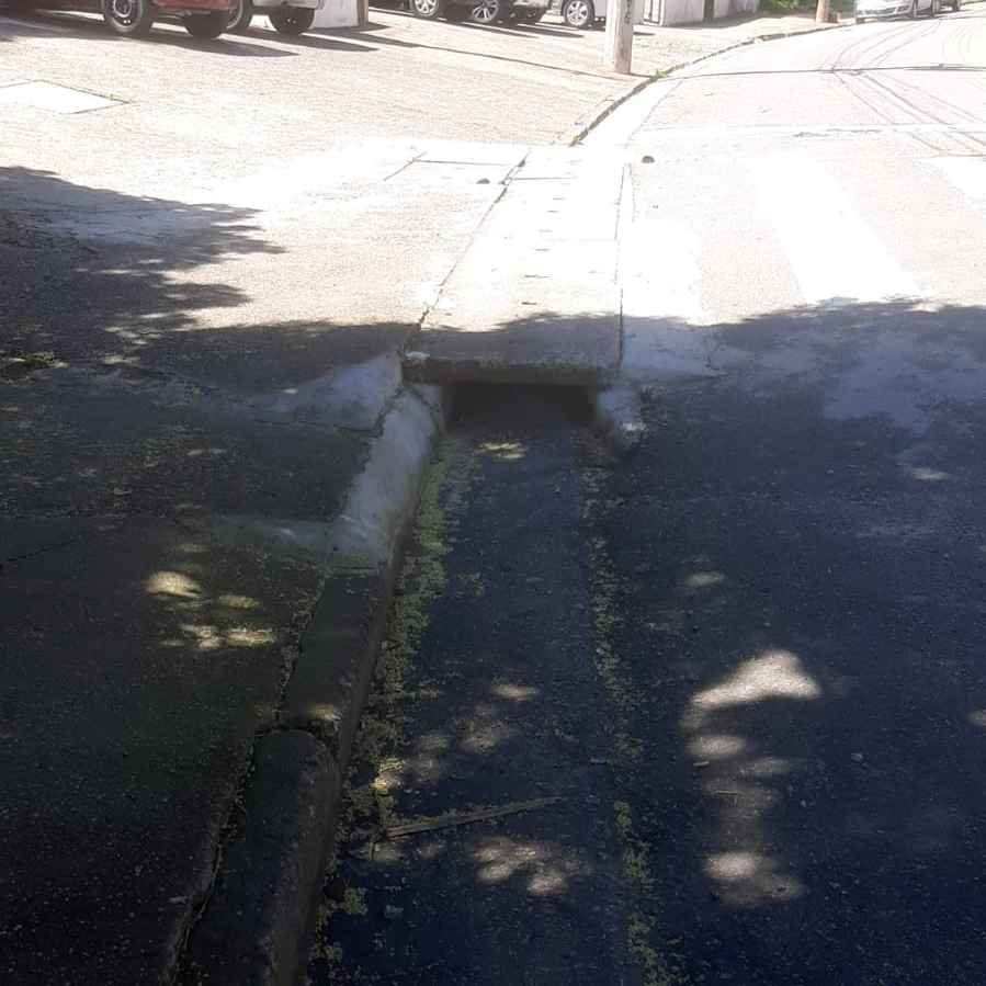 Imagem da publicação