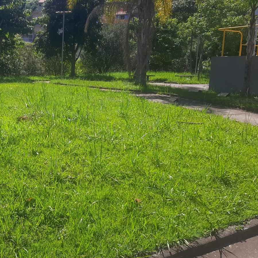 Imagem da publicação