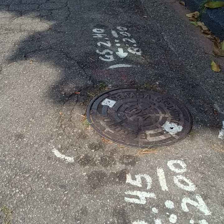 Imagem da publicação