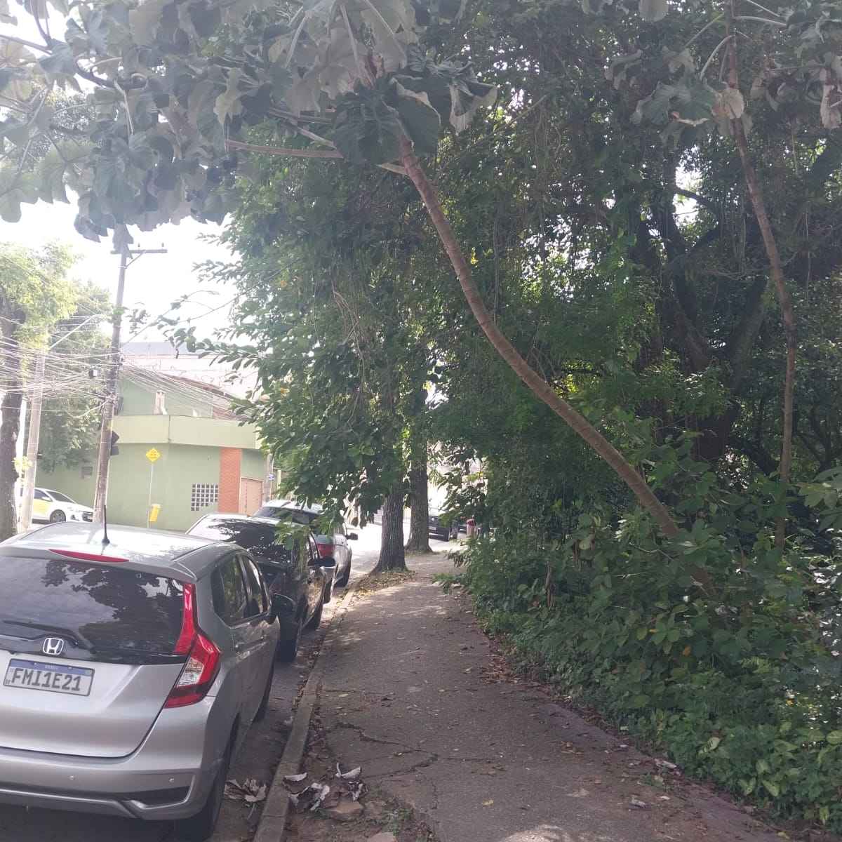 Imagem da publicação