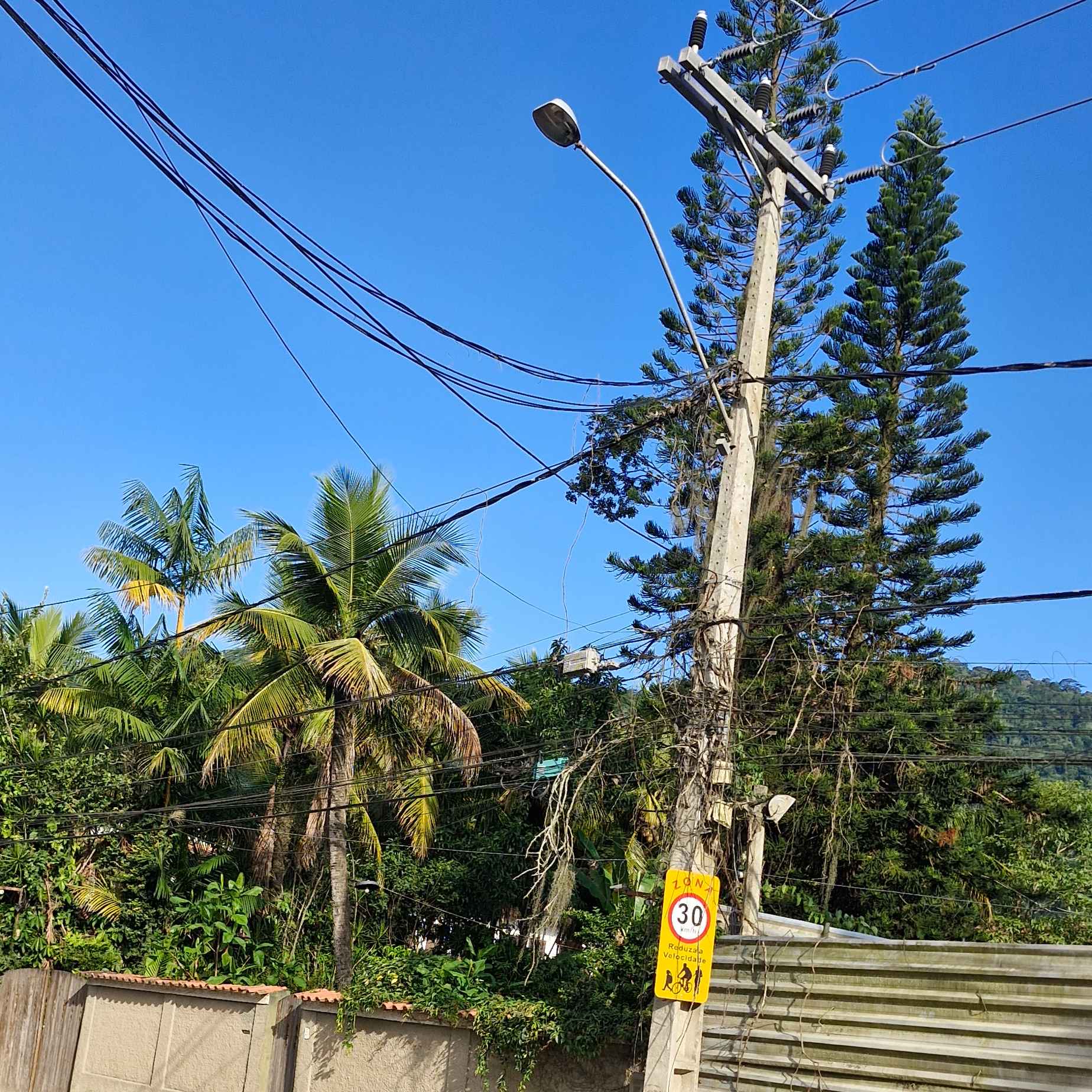 Imagem da publicação